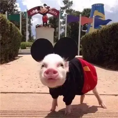  日常送头像,情侣的那种