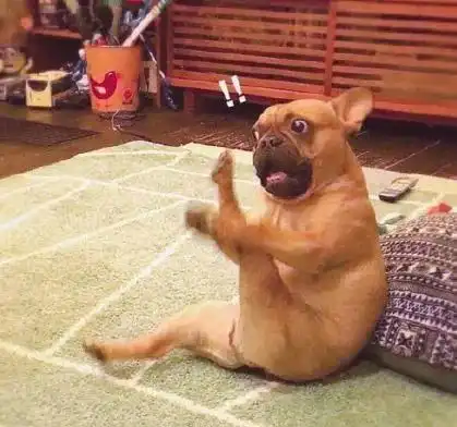  沙雕头像今天的雨也太大了