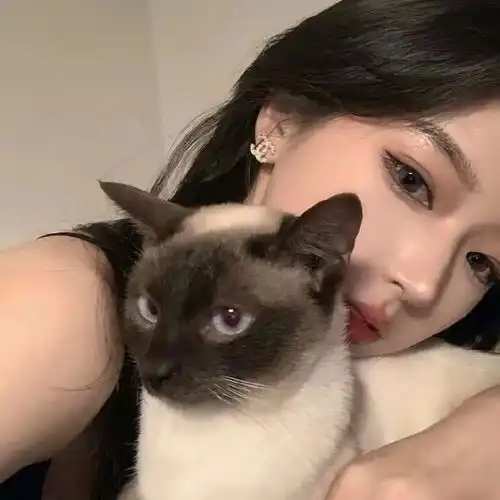 一些让人意难平的文案