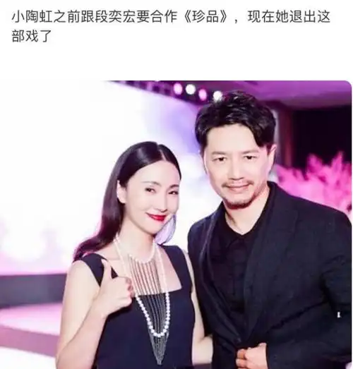 陶虹被张庭坑惨了网曝陶虹退出新戏,段奕宏将独挑大梁