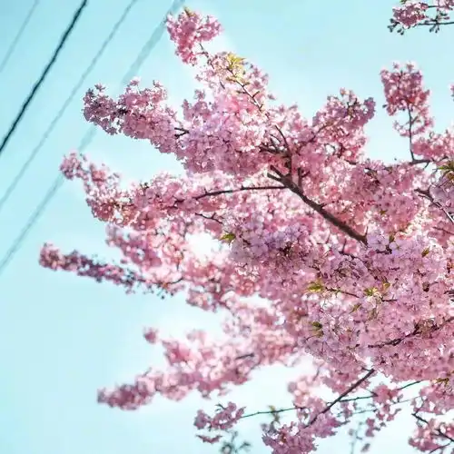  今天夜间到明天白天转为持续想你