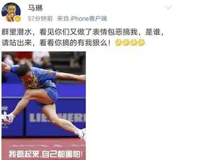  她遭国乒开出后拒绝出国称只为国乒效力马琳自嘲晒表情包