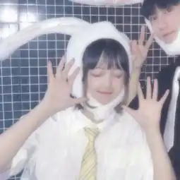  情侣头像丨你去买只猫吧你抱着猫我抱着你