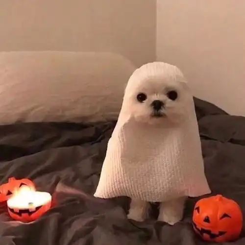  20款真爱护肤品年度大盘点,没有比无限回购更有说服力的种草了