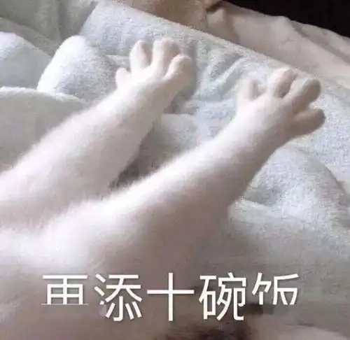  第60期喵表情干饭猫干饭魂,干饭都是猫上猫