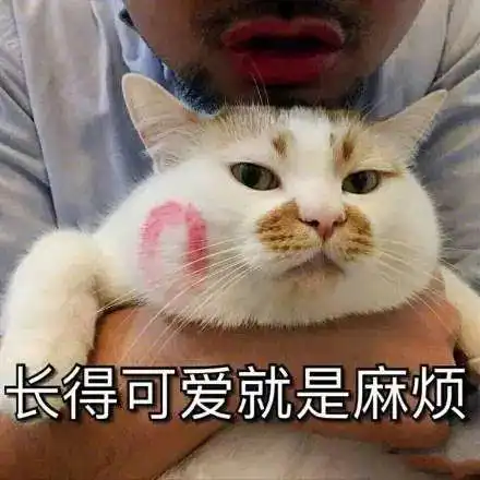 我涂的口红只有79块,别人却都以为是阿玛尼