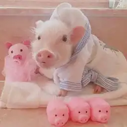  拒绝亲亲idontwanttokissyouprankonboyfriendgonesexual