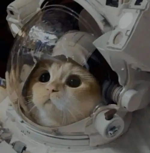  低至75折丨山泽四重奏与气韵中国陪你过国庆