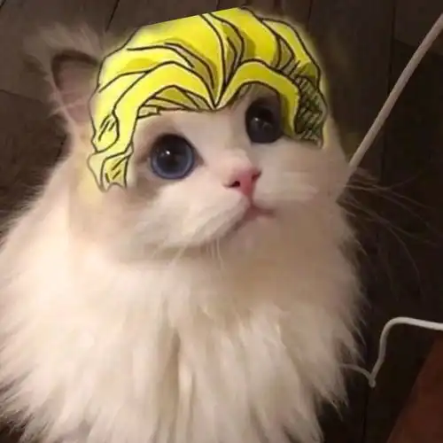  jojo猫头像自制