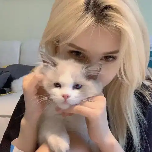  ins氛围感唯美真人女头