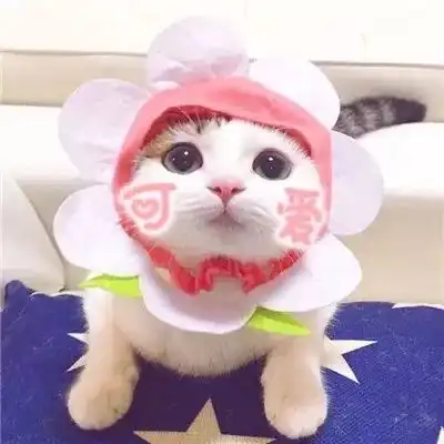  中新天津生态城家长鄙视链,看看你在第几层