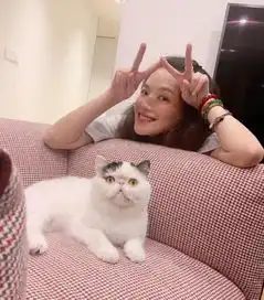  舒淇晒出素颜照,容貌依旧心情大好,网友猫的表情很有意思