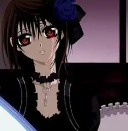  吸血鬼骑士黑执事的桌面主题