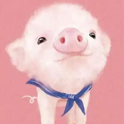 超萌猪头像可爱图片最近很火的猪的图片