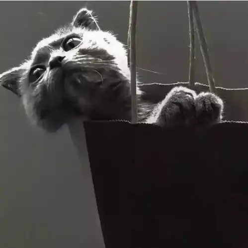  ins伤感背景图喜欢上一个,不属于自己的人真难受