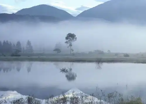  熬到5月底,运势旺运同时到,一天比一天好的星座