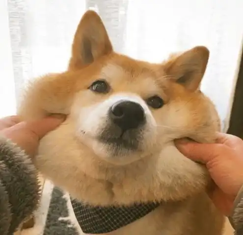  110张超甜超污情侣头像,保你喜欢哟