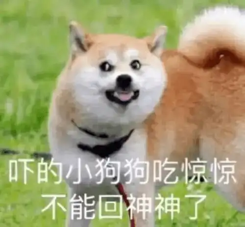  孩子,唯有吃铁拳,方可长智商