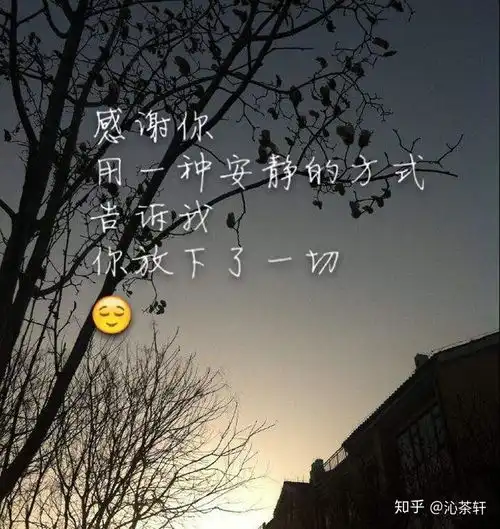  在感情中,什么才是真正的放下