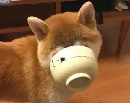  办公室松想见你,穿越千万个时间线里