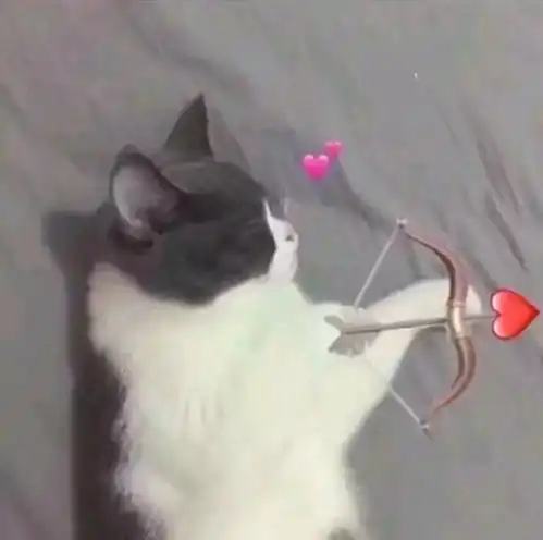  社团活动歌舞协会歌手大赛彩排