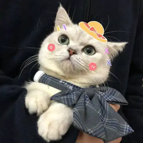  头像人是铁床是磁铁