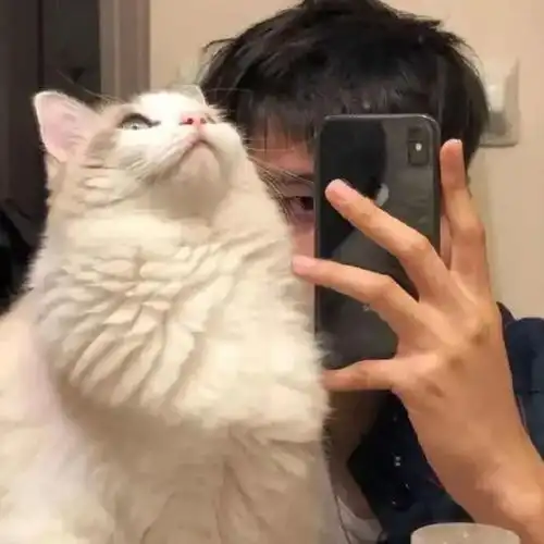 优质男头不期而遇努力中的惊喜