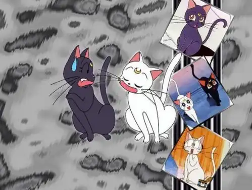  美少女战士里的黑猫白猫各叫什么名字