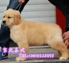 黄页88高清图片