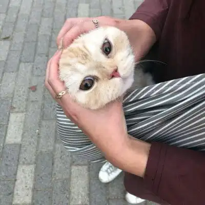  2019最新搞怪奇葩微信头像大全最新搞怪奇葩微信头像逗比专属高清