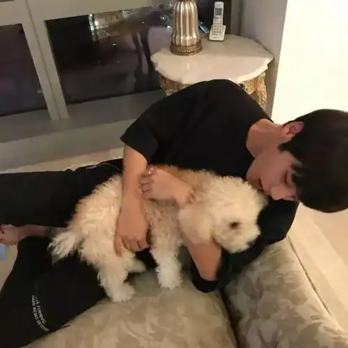  头像很多离开只是为了被挽留