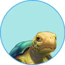  有对比才有发现梦幻西游2经典唯美头像对对碰