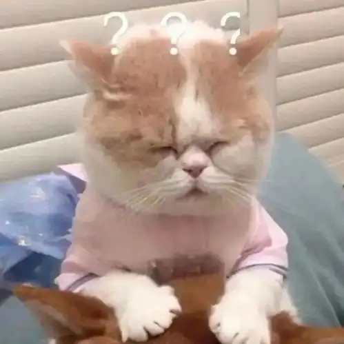 今日头像丨喜出望外的傍晚