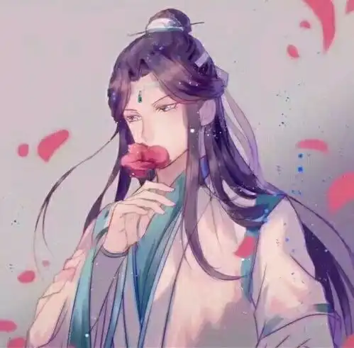  二次元图集魔道祖师