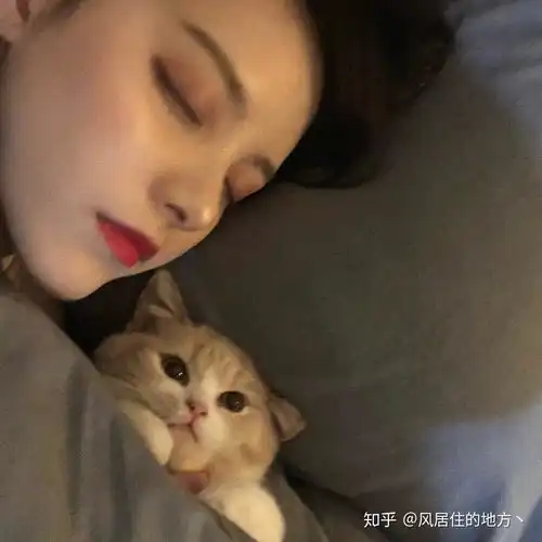  有没有抱猫的男生头像