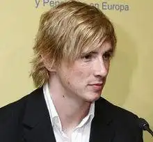  求几张费尔南多托雷斯的qq头像图片