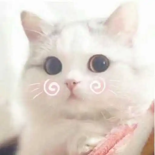 你见过哪些让人一眼记住的头像