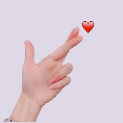  拿心手势只有手图片手拿鲜花只有花图片