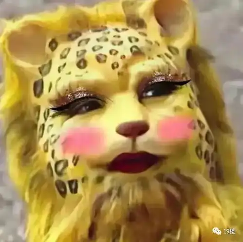  西游记导演都想不到虎年将至,一只豹子突然火遍了朋友圈