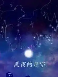  黑夜的星空