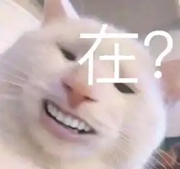  无处安放的表情包网恋吗小姐姐,我洪世贤