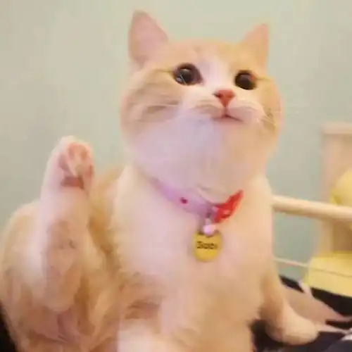  别怀疑,你的头像已经出卖了你的性格