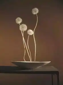  花器合一,物我同修自然