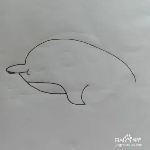 简笔画海豚