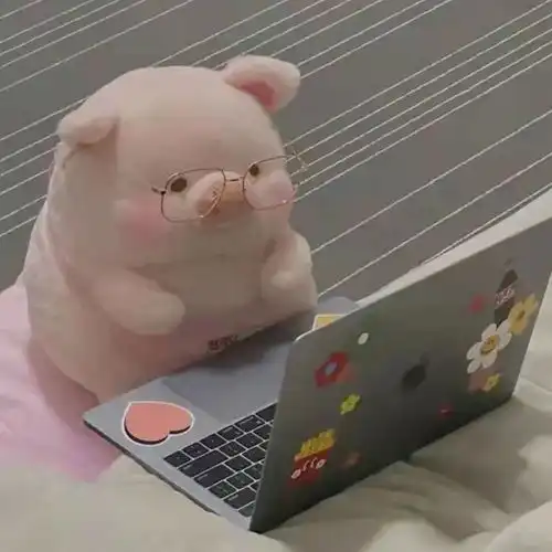  可爱猪猪头像,萌萌的猪猪朋友圈封面图