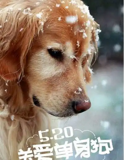  火影忍者学会这一招,立马就脱单,否则去找止水算账