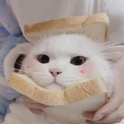  美女爱用的可爱头像