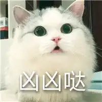  qq超凶的猫咪表情包超凶的猫咪qq表情包下载qq表情大全qq表情