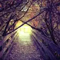  纯风景情侣头像淡雅微信头像图片大全