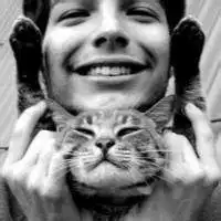  带有动物的欧美图片微信头像图片大全